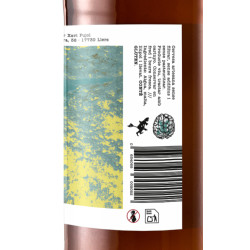 Session IPA - Caixa de 12u