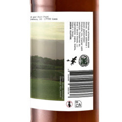 Pils - Caixa de 12u